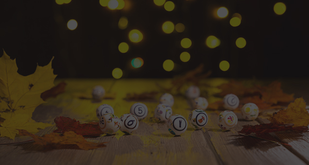 Duck Duck Bingo